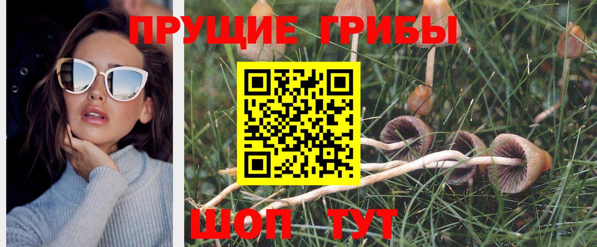 Галлюциногенные грибы MAGIC MUSHROOMS  Вход с VPN  Ачхой-Мартан 